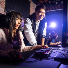 Interactive Digital Media sector