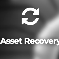 Asset Recovery