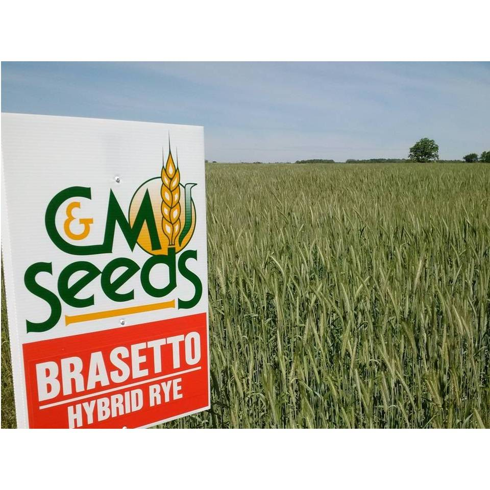 Boyco Spring Rye Hybrid Rye