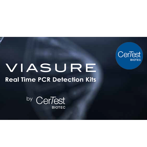 Certest Viasure, Spain