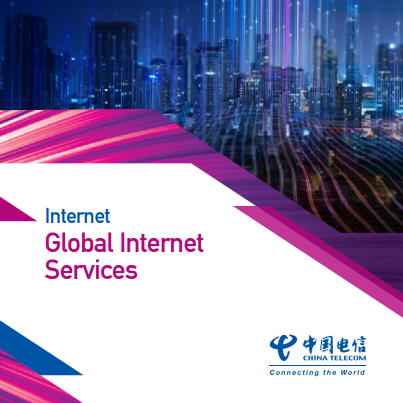 China Telecom Global Internet Services