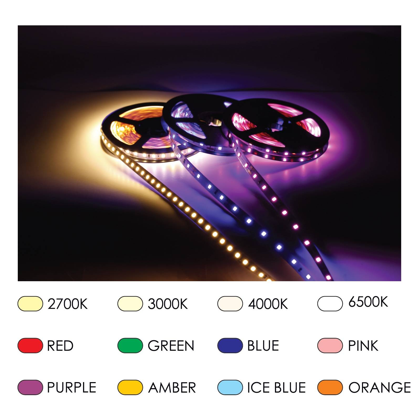 Single Colour Options Light