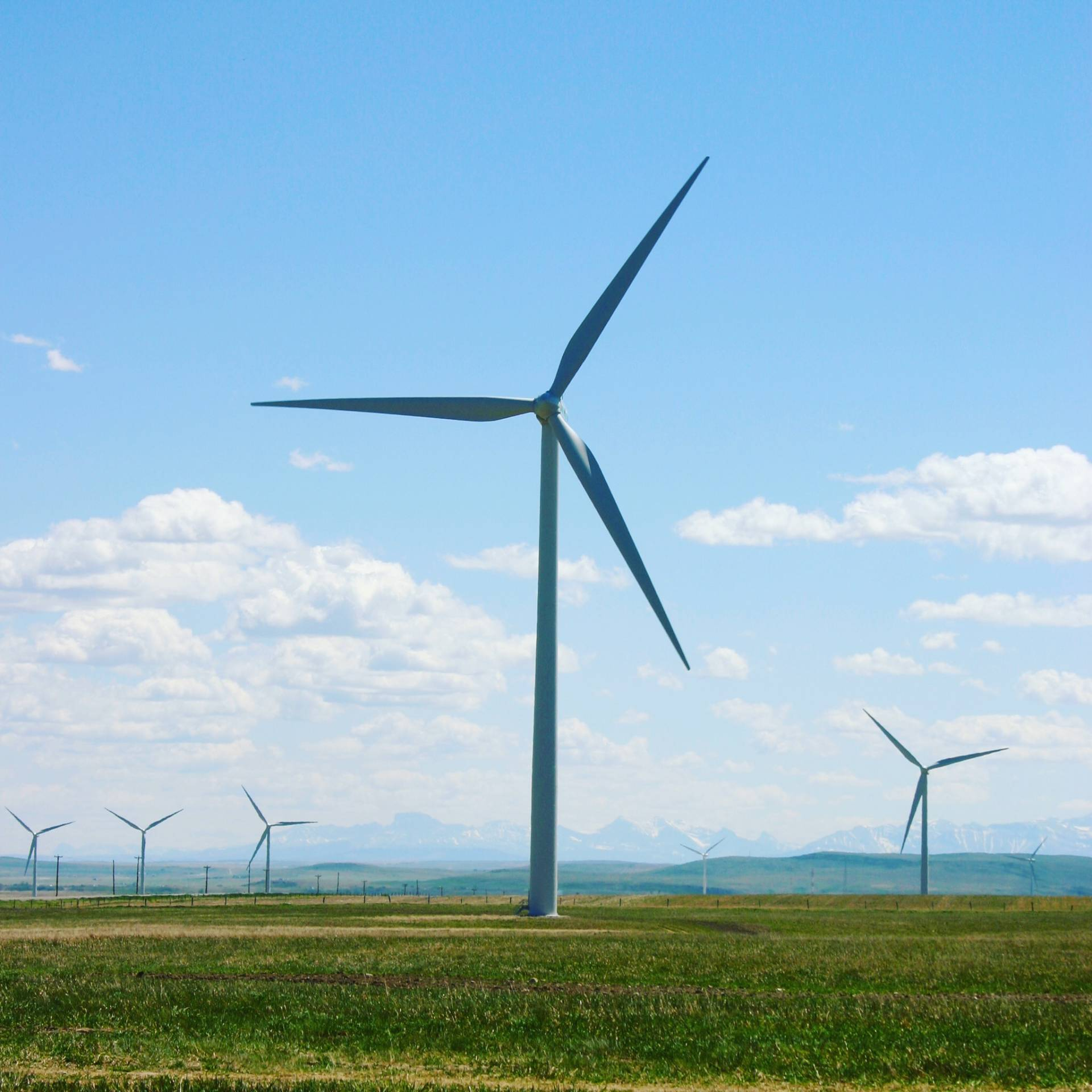 Wind Power Generation