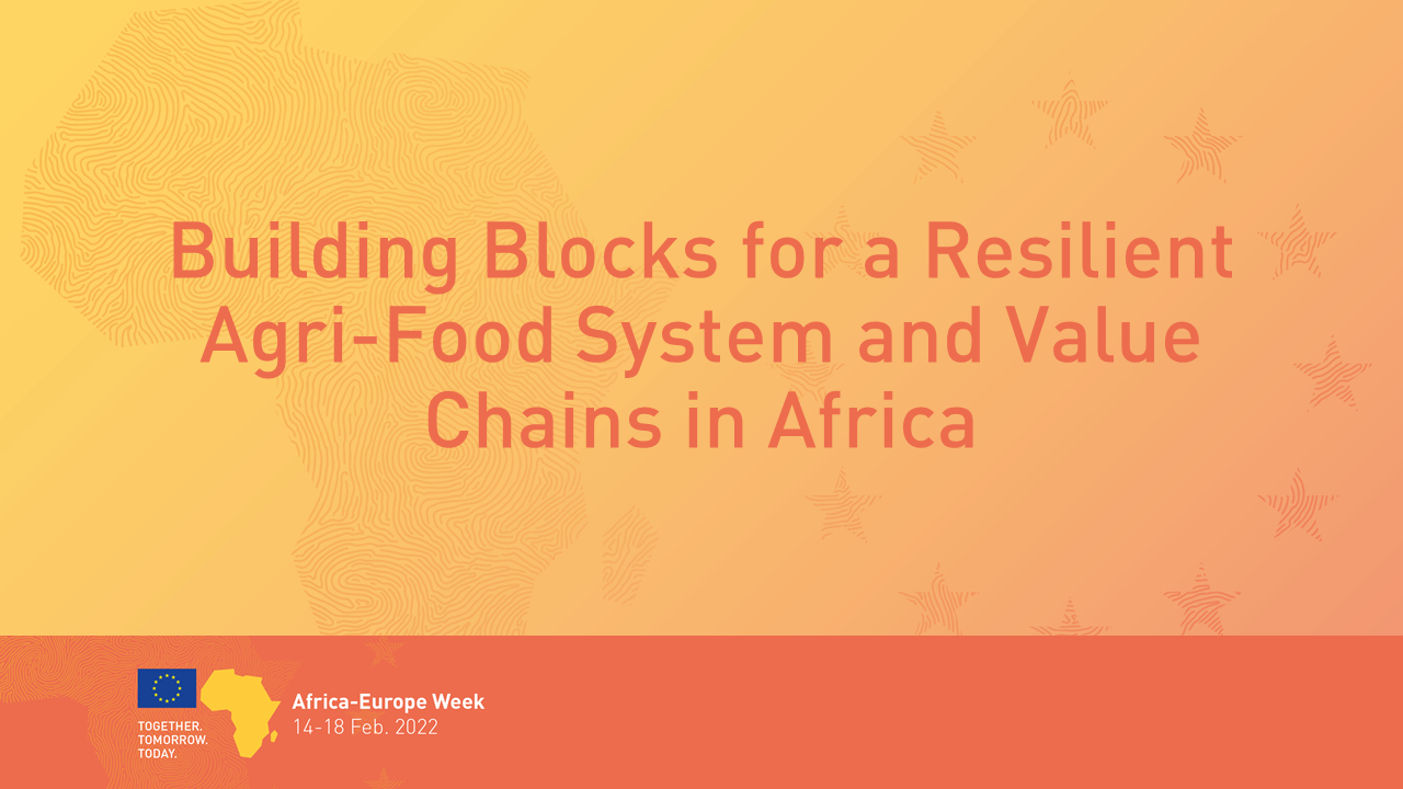 Building Blocks for a Resilient Agri-Food System and Value Chains in Africa