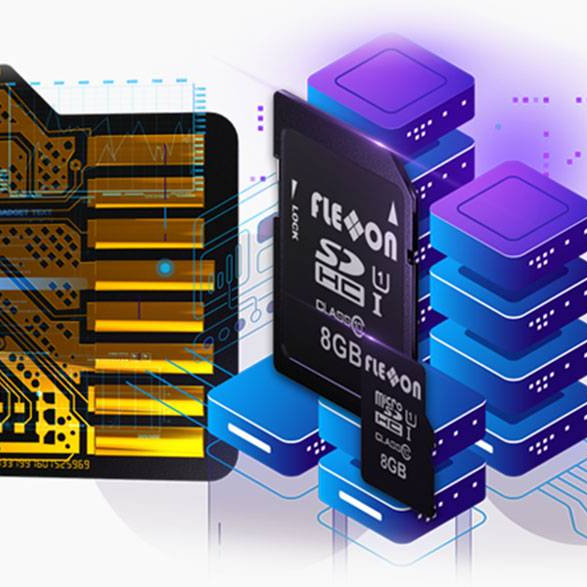 Flexxon WORM (write Once Read Many) SD & MicroSD Cards